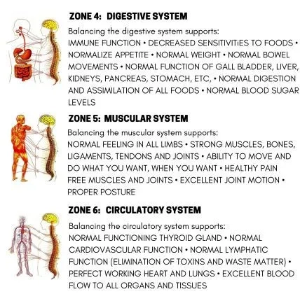 Chiropractic San Francisco CA Zones